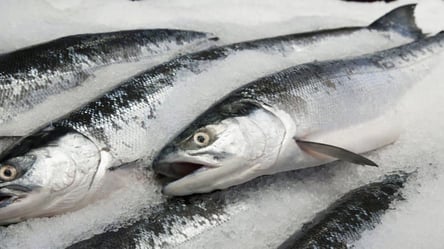 Киевлянка купила замороженную рыбу без пакета, чтобы не платить 10 копеек - 285x160