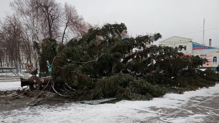 На Сумщине в центре города упала новогодняя елка. Фото - 285x160