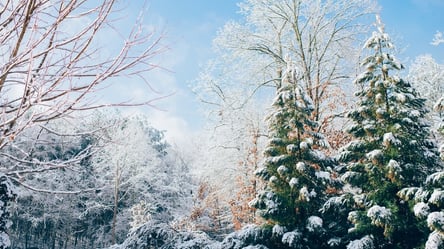 В Украине ударят морозы до -12: синоптик дала прогноз погоды на 21 декабря - 285x160
