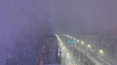 Снегопад в Киеве: столицу накрыли сильные метели. Фото, видео - 285x160
