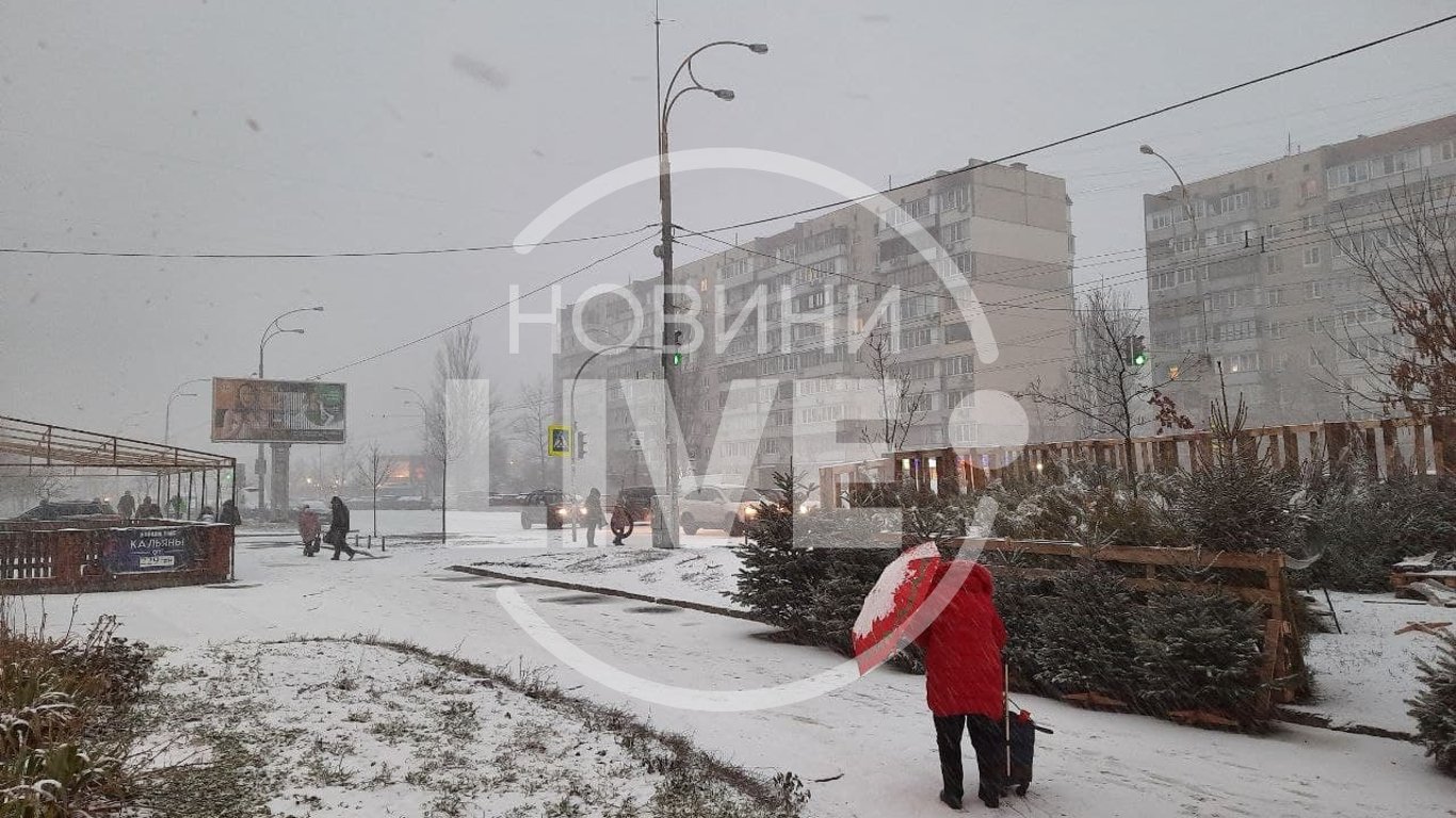 Перший справжній снігопад у Києві - як це було і до чого призвело