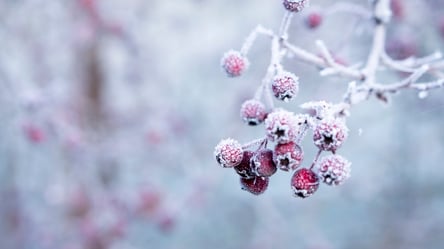 В Україні посиляться морози до -17 градусів: синоптикиня дала прогноз погоди на 22 грудня - 285x160