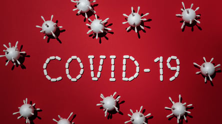 Пандемия на Львовщине идет на спад: эпидемиологи объяснили ситуацию - 285x160