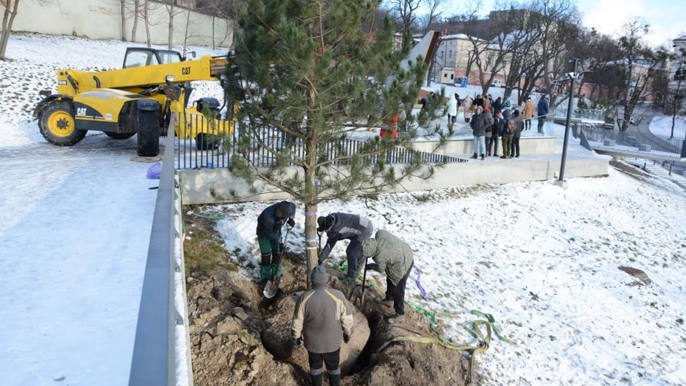 У Львові висадили дерева на меморіалі пам’яті Героїв Небесної
