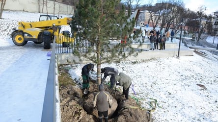 На львівському меморіалі пам’яті Героїв Небесної Сотні висадили дерева. Фото - 285x160