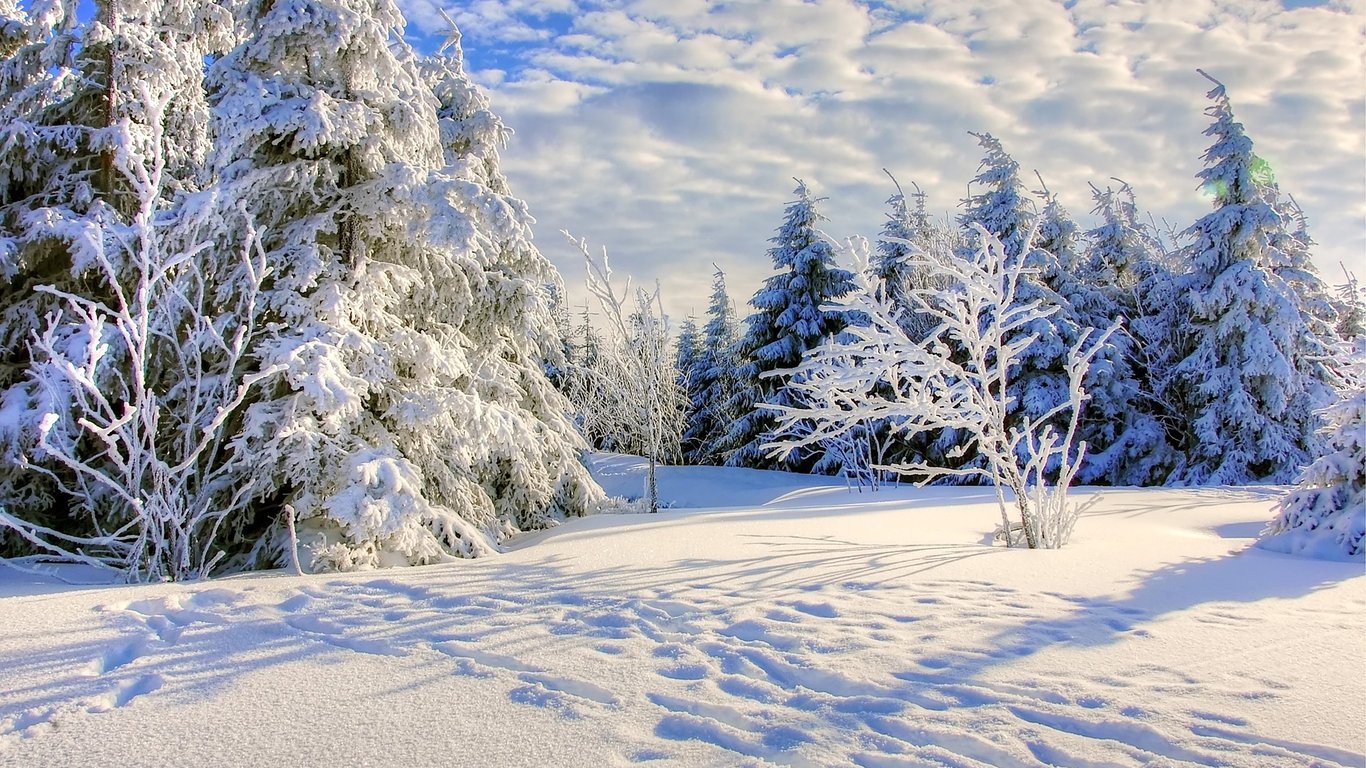 В Україні на Новий рік ударять морози до -25: прогноз