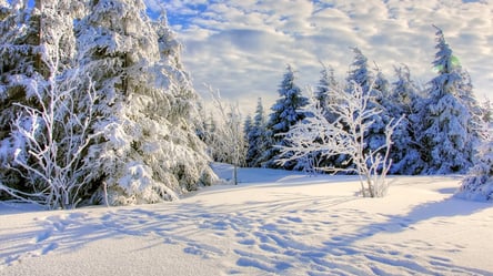 В Украине на Новый год ударят морозы до -25: прогноз - 285x160