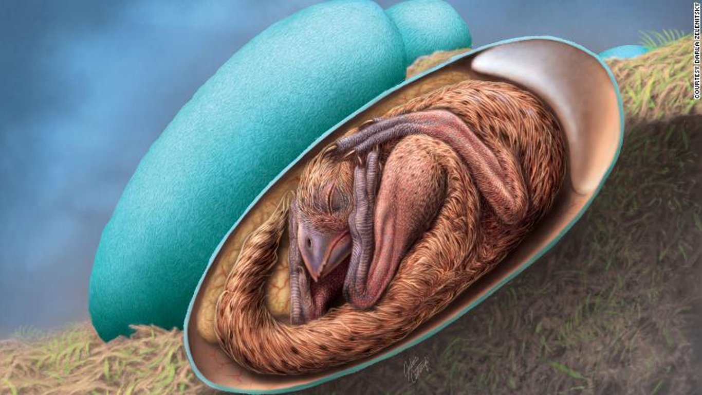 Ученые нашли эмбрион динозавра в яйце и показали, как он выглядел