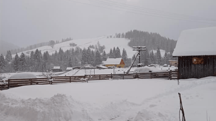 На Буковине ударил 30-градусный мороз: фото засыпанного снегом села - 285x160