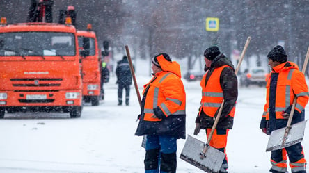 Київські комунальники вирішили висаджувати дерева в сильний мороз - 285x160