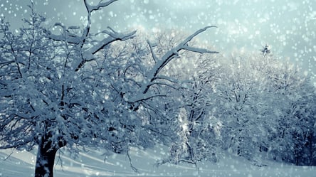Україну накриє сніговий шторм: коли та де погіршиться погода - 285x160