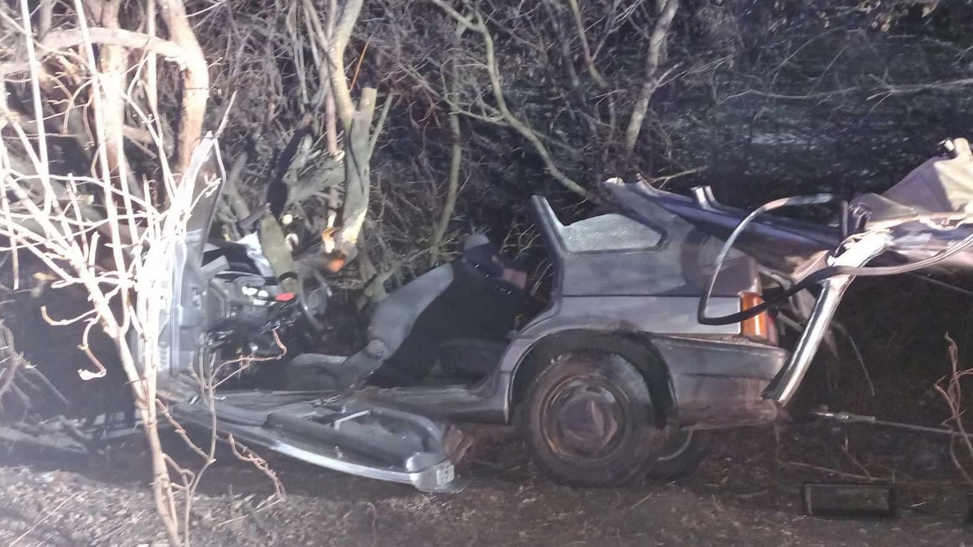 Під Києвом у жахливій ДТП загинув 14-річний підліток - авто розтрощило об дерево. Фото