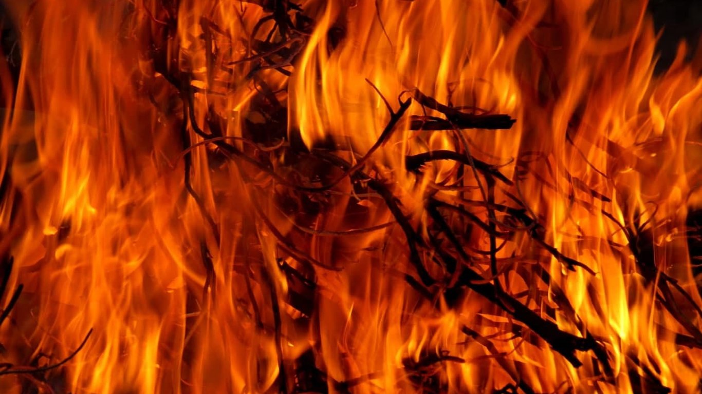 Во Львове в пожаре погибли три человека-видео