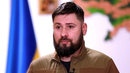 ГБР начало расследование в отношении скандального экс-замглавы МВД Гогилашвили - 285x160