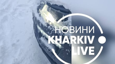 Харків засипало снігом: рятувальники та комунальники вийшли на боротьбу з негодою. Фото, відео - 285x160