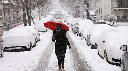 Харків потонув у снігу: у місті випало до 15-20 см опадів. Відео - 285x160