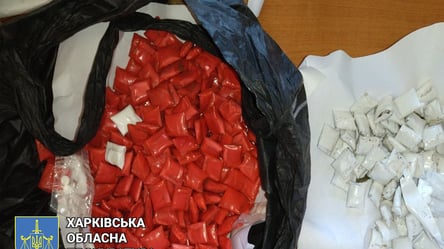 У Харкові затримали 20-річного дилера з сотнями наркотичних "закладок" - 285x160
