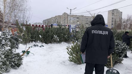 Более 50 елок на сумму 13 тысяч гривен изъяли из продажи в Харькове и области - 285x160