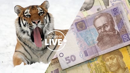 Що "рік тигра" принесе гривні: до чого готуватись українцям у 2022 році - 285x160