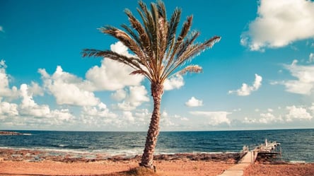 Три теста для въезда на остров: Кипр ввел новые ограничения для туристов - 285x160