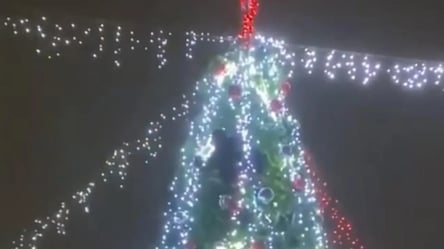 В Кривом Роге на новогодней елке был замечен "настоящий тигр". Видео - 285x160