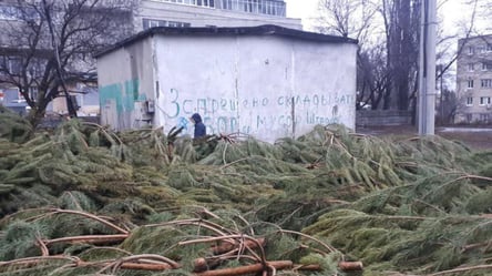 Украинский хвойный апокалипсис: жуткие кадры новогодних елок с разных городов шокировали сеть - 285x160