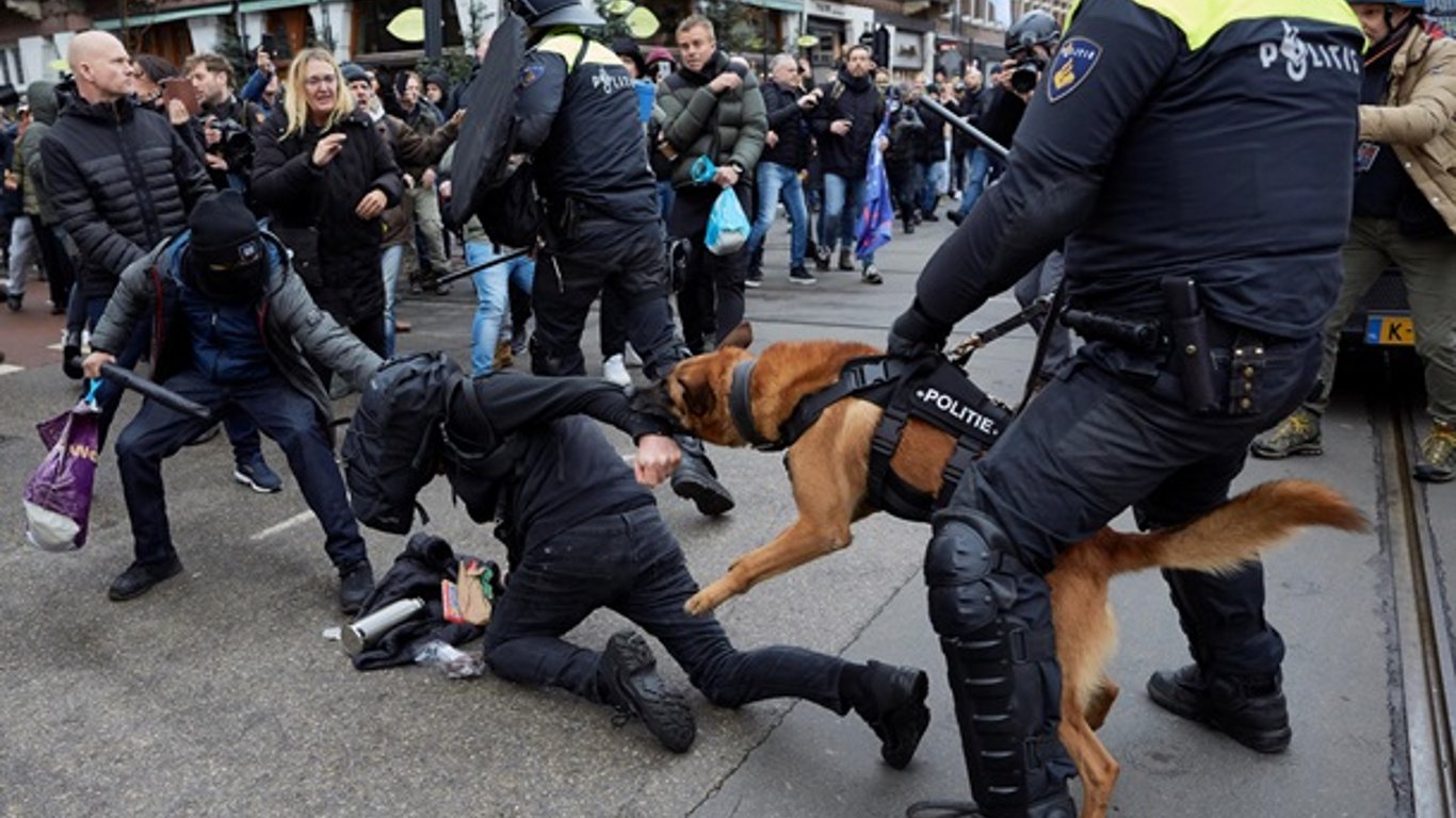 В Амстердаме полицейские спустили собак на протестующих