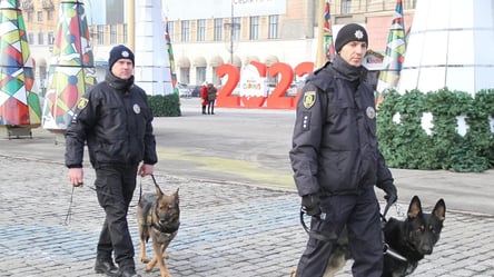 Скільки харків'ян зустрічали Новий рік на вулиці. Дані поліції - 285x160