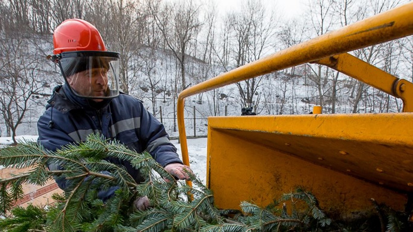 Куда сдать елку в Харькове: адреса
