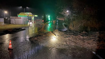 На Закарпатье сошли селевые потоки: дома залило водой. Фото - 285x160