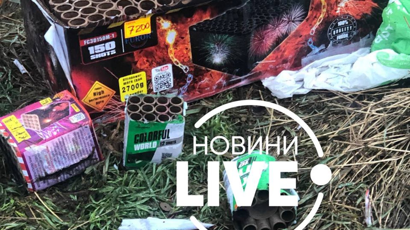 Заборона салютів у Києві: як минула новорічна ніч
