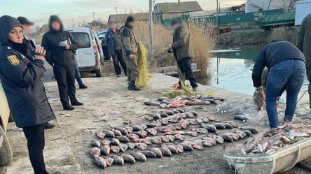 Наловили майже пів тонни риби: на Одещині затримали браконьєрів - 285x160