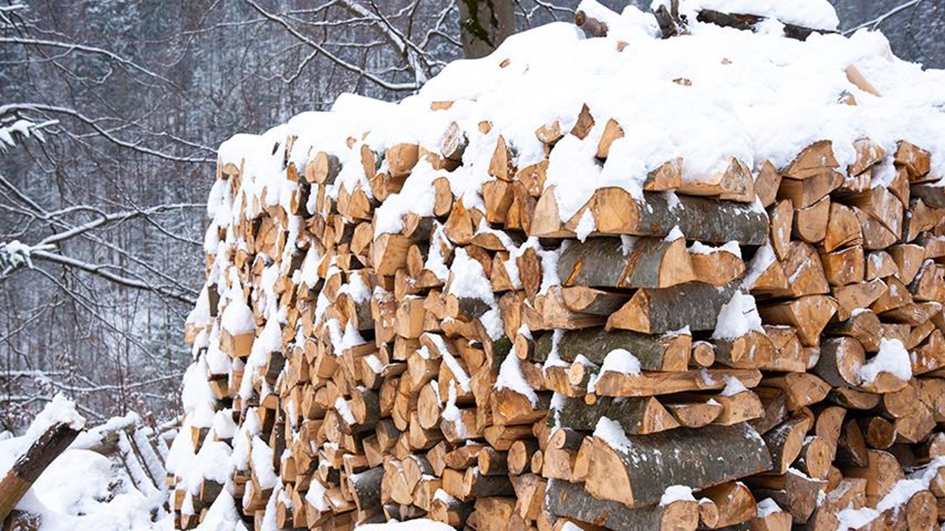 В Киев пытались незаконно провезти дрова - фото