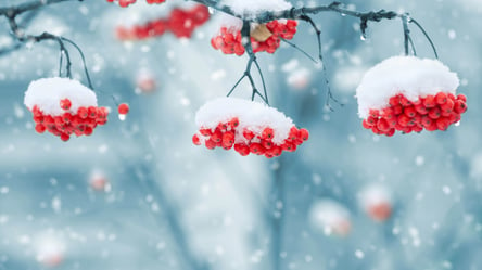 В Киев возвращается зима и снег: прогноз погоды  на 6 января - 285x160