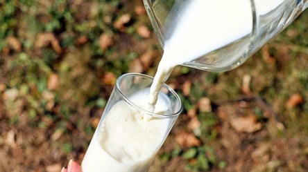 В Україні виробники молока скаржаться на якість сировини: подробиці - 285x160