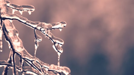 Нічні морози та сонячні дні: прогноз погоди в Одесі на 12 січня - 285x160