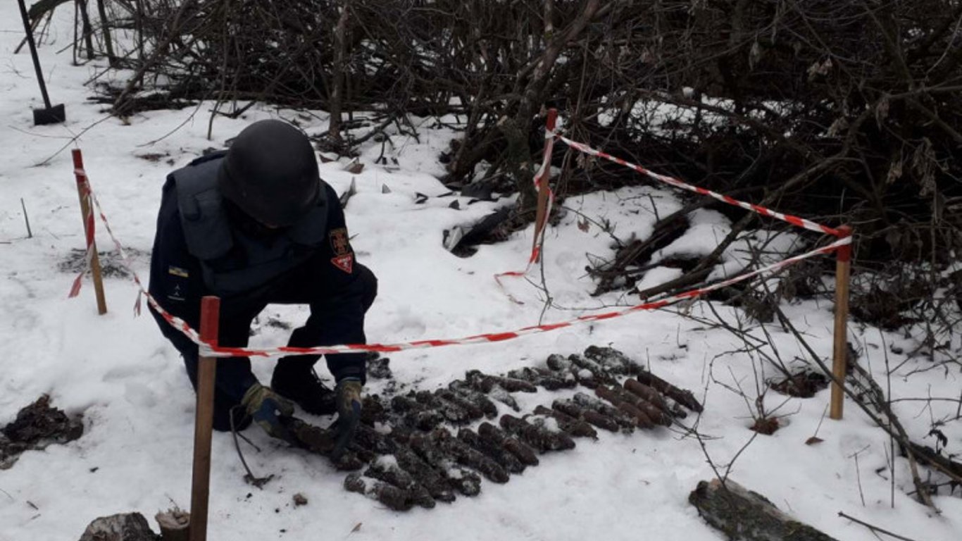 Більше 30 снарядів виявили в лісі на Харківщині