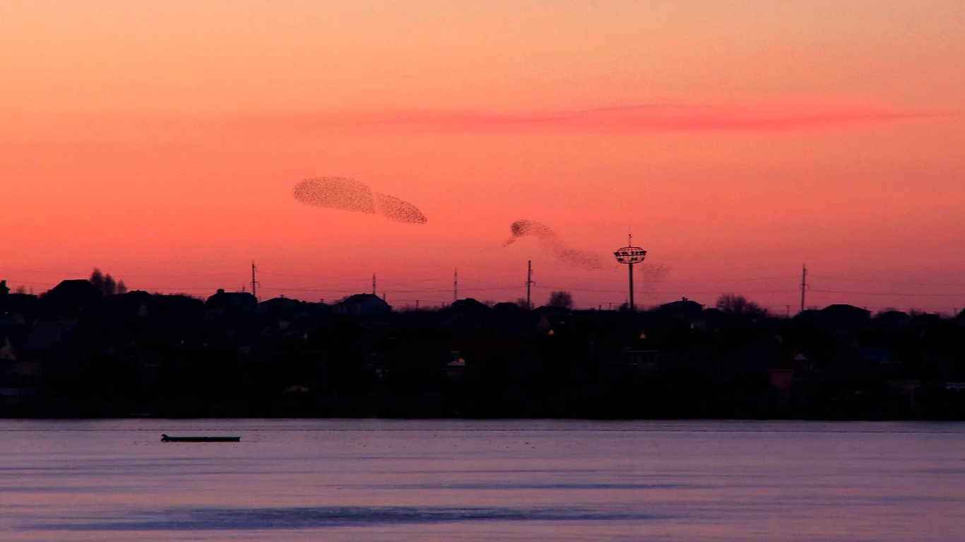На закате солнца сфотографировали редкое явление-Новости Одессы