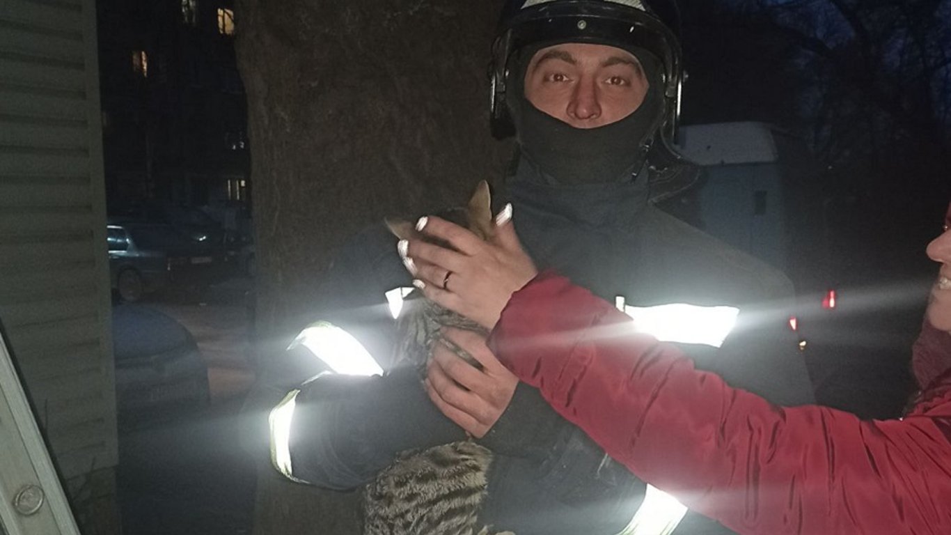 В Одессе спасли двух котов - фото