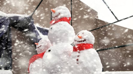 Холодный антициклон Bernhard принесет в Харьков морозы и снег 13 января - 285x160