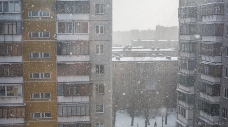 В сети показали, как живут люди в киевской  многоэтажке, которую заполонили тараканы и крысы - 285x160