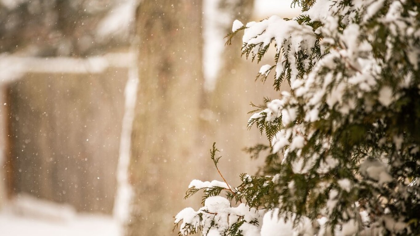 Погода в Киеве на 17 января - ожидается пасмурная погода и небольшой снег