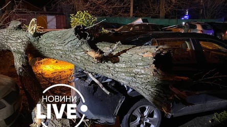 Смертельний ураган у Києві: чоловіка вбило в його автомобілі. Фото, відео - 285x160