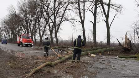 Ураган в Украине оставил без света 1,4 тысячи населенных пунктов - 285x160