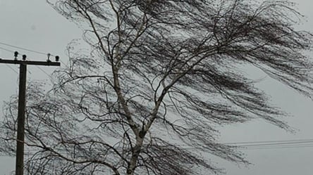 Ураганний вітер: в Одесі оголосили штормове попередження - 285x160