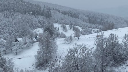 В Україні оголосили штормове попередження: які області накриє сніг та хуртовини - 285x160
