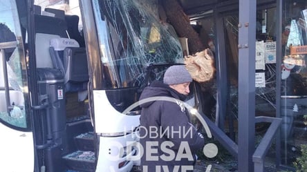 Автобус врізався у магазин: в Одесі власники пошкоджених машин вимагають компенсації у перевізника - 285x160
