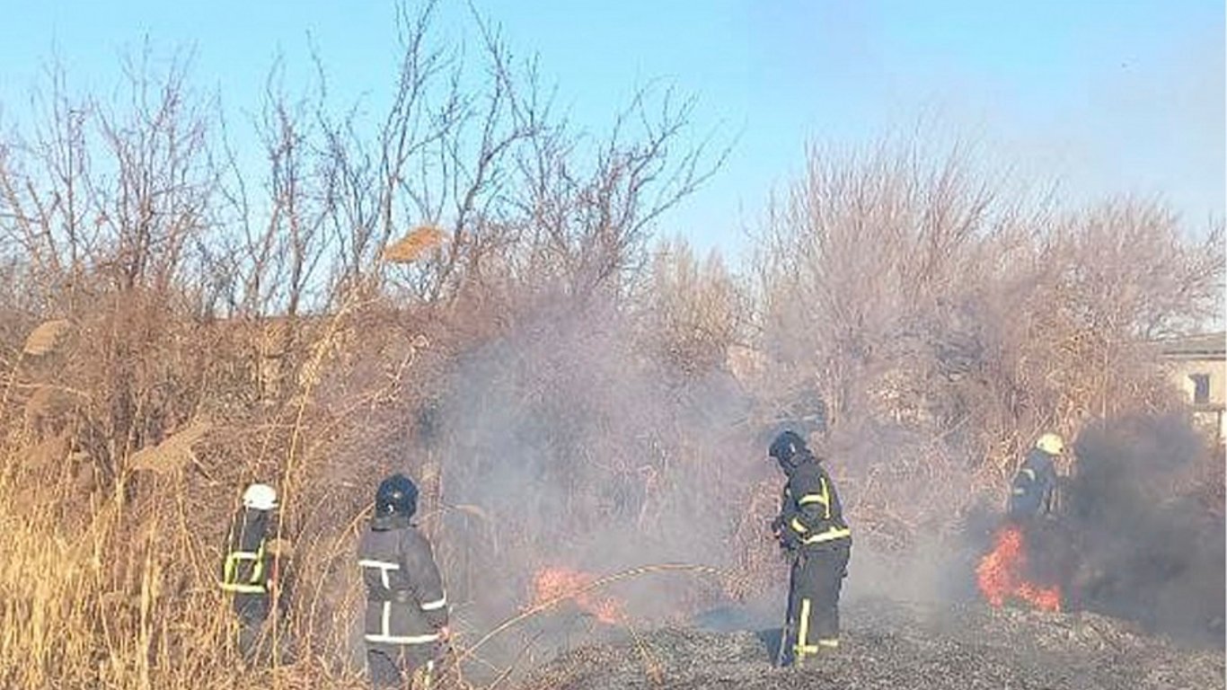 В Одессе горел камыш, пожар тушили 13 спасателей