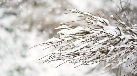 Похолодання та сніг: прогноз погоди в Україні на 24 січня - 285x160