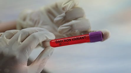 Штамм коронавируса "Омикрон" обнаружили в 17 областях Украины - 285x160